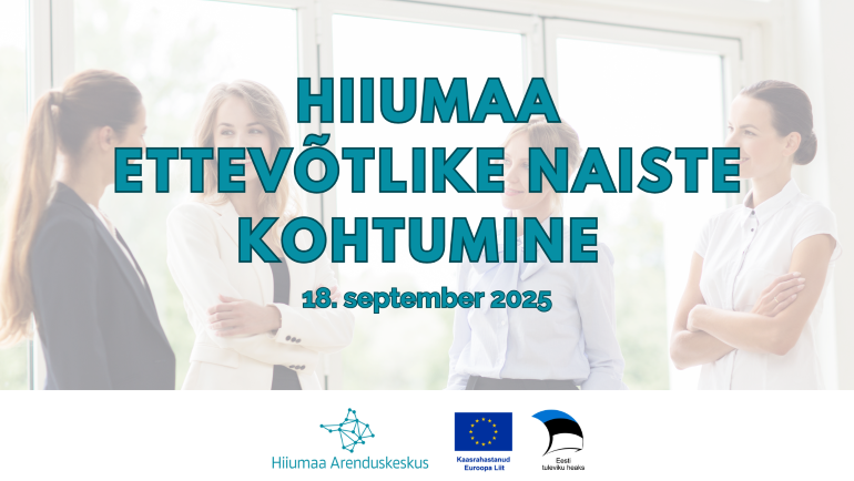 Hiiumaa ettevõtlike naiste kohtumine