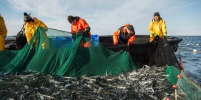 Kalapüük Hiiumaal - Priidu Saart