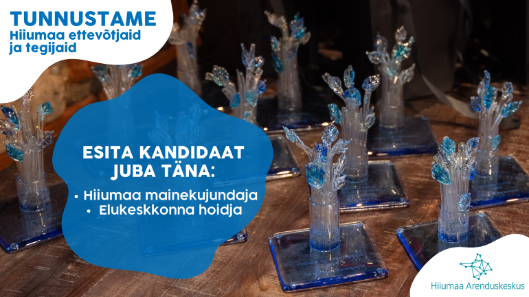 Hiiumaa ettevõtjate tunnustamine 2026